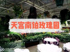-天宫南铂玫瑰园酒店
