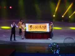 -灵玲国际马戏城