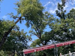 -终南山南五台景区