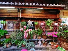 -龙姐私房菜(和顺古镇店)