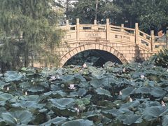 -惠州西湖风景名胜区-丰渚园