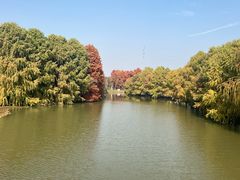 -上海海湾国家森林公园