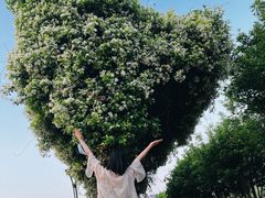 -广西壮族自治区药用植物园