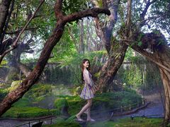 -Chom Cafe and Restaurant