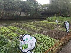 -溱湖国家湿地公园