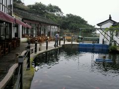 android_upload_pic-湖鲜楼