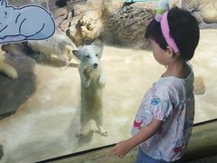 -大连圣亚海洋世界
