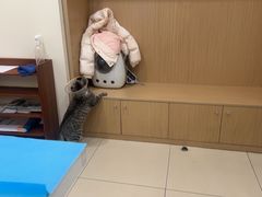 -美迦爱-牙专科·兔科·骨科诊疗中心(北苑店)