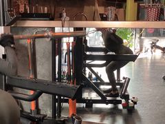 -能量健身私教工作室(1527店)