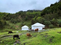 -硗碛藏寨·神木垒景区