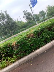 -HEYAN长风荷妍专业脱毛美肤

