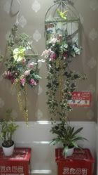 -芳朵美容养生SPA