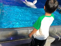-大连圣亚海洋世界