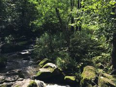 -茅兰沟国家森林公园