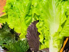 -老熊家·野生菌·生态农场餐厅