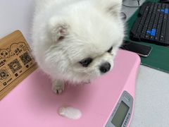 -我宠我爱动物医院·全科·中医骨外科专科店(新世界店)