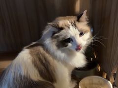 -白兔子密室(长寿路店)