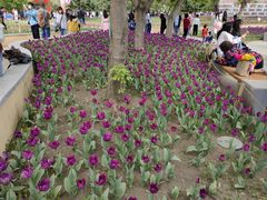 -长春公园(普阳街道)