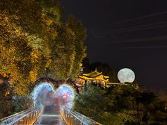 -巴倒烫陆派火锅山庄(南山总店)