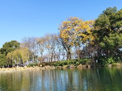 -西湖游船