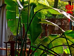 -凤来栖·净庭院·火锅(欧尚店)