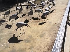 -秦皇岛野生动物园
