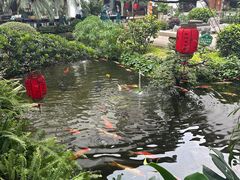 -聚福宝合苑食府(南头镇店)