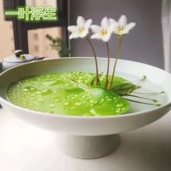 -兰派国际美容养生SPA