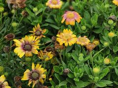 -共青国家森林公园-售票处