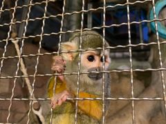 -成都浩海立方海洋公园