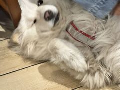 -OZ cafe(南昌路店)