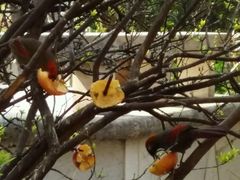 -昆明动物园
