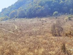 -白草畔自然风景区