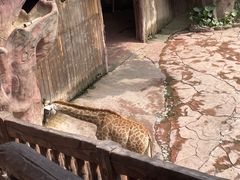 -长鹿旅游休博园