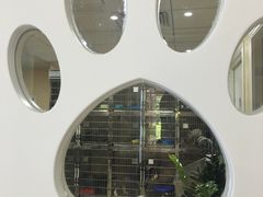 -芭比堂动物医院·24小时·眼科中心(深圳中心)
