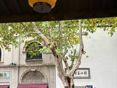 -猫的天空之城概念书店(杭州南宋御街店)