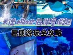 -海合安天津极地海洋公园