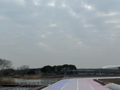 -贡湖湾湿地公园