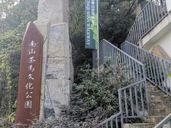 -南山植物园