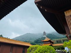 -深圳仙湖植物园