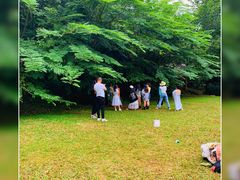 -野象谷景区
