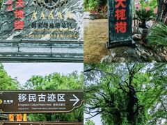 -大槐树寻根祭祖园