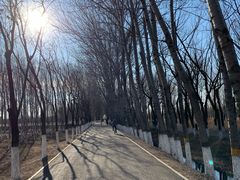 -东郊湿地公园