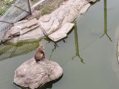 -广州动物园