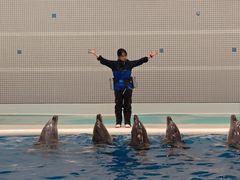 -鹿儿岛水族馆
