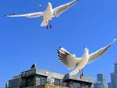 -海云台海滩