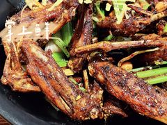 干锅鸭翅小份-掌上鲜(南顺城街店)
