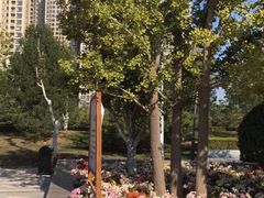 -燕郊植物园