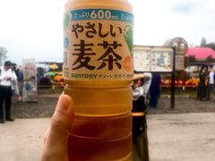 -富田农场