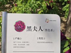 -太阳宫公园